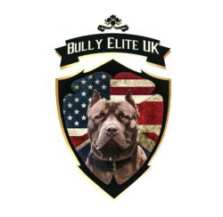 Bully Elite
